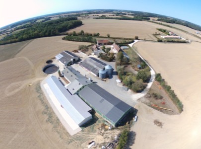 Elevage de porcs fermiers à Arville (41)